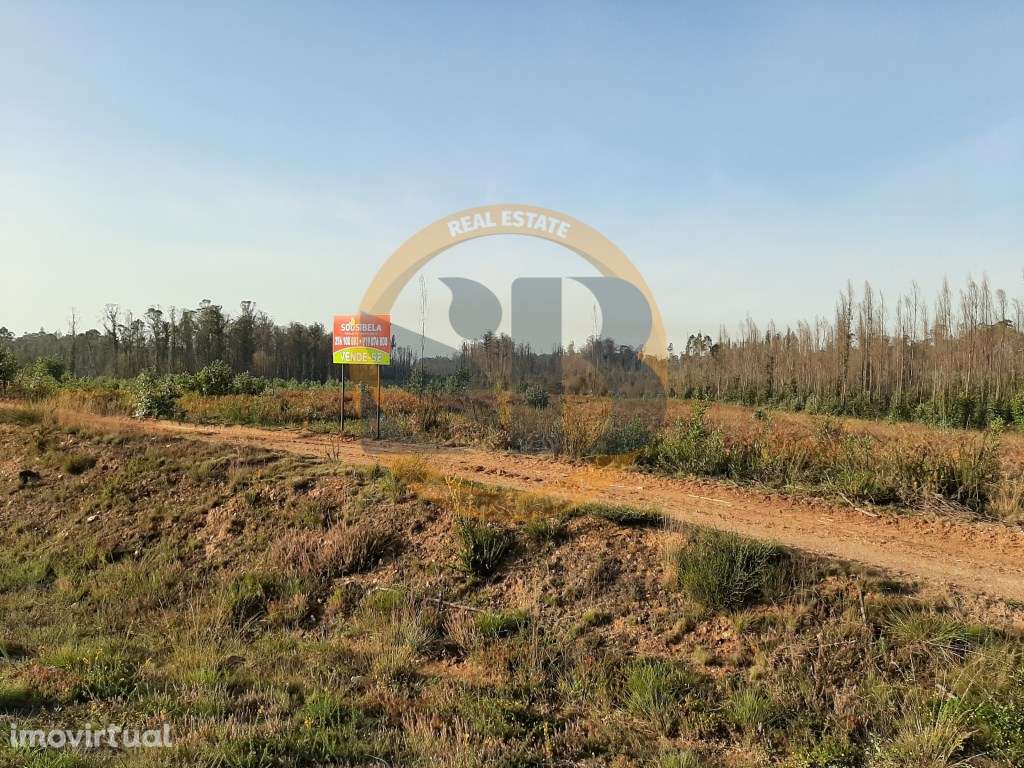 Terreno Industrial Ovar - Grande imagem: 2/8