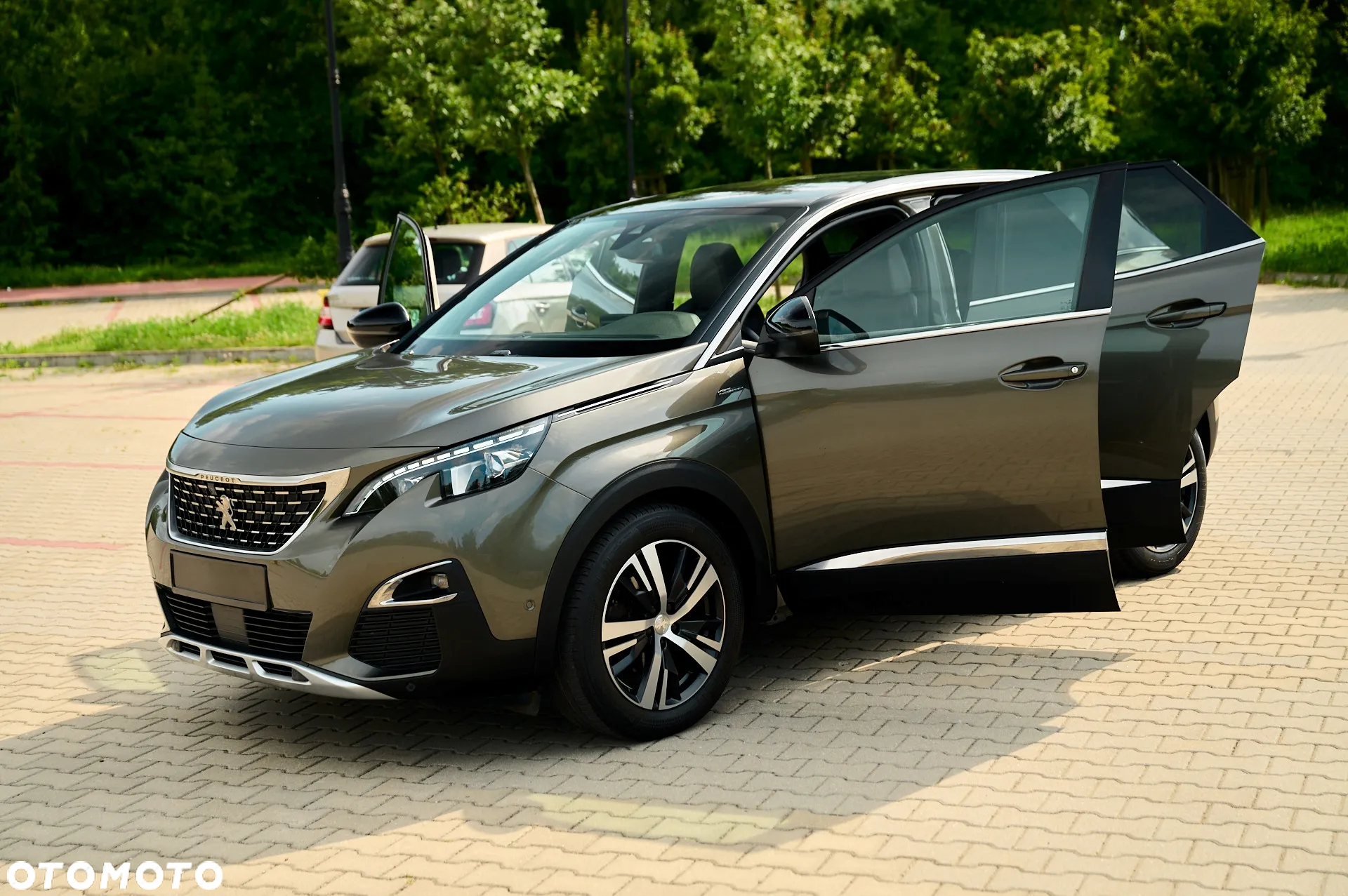Peugeot 3008 2.0 BlueHDi Allure S&S - 19
