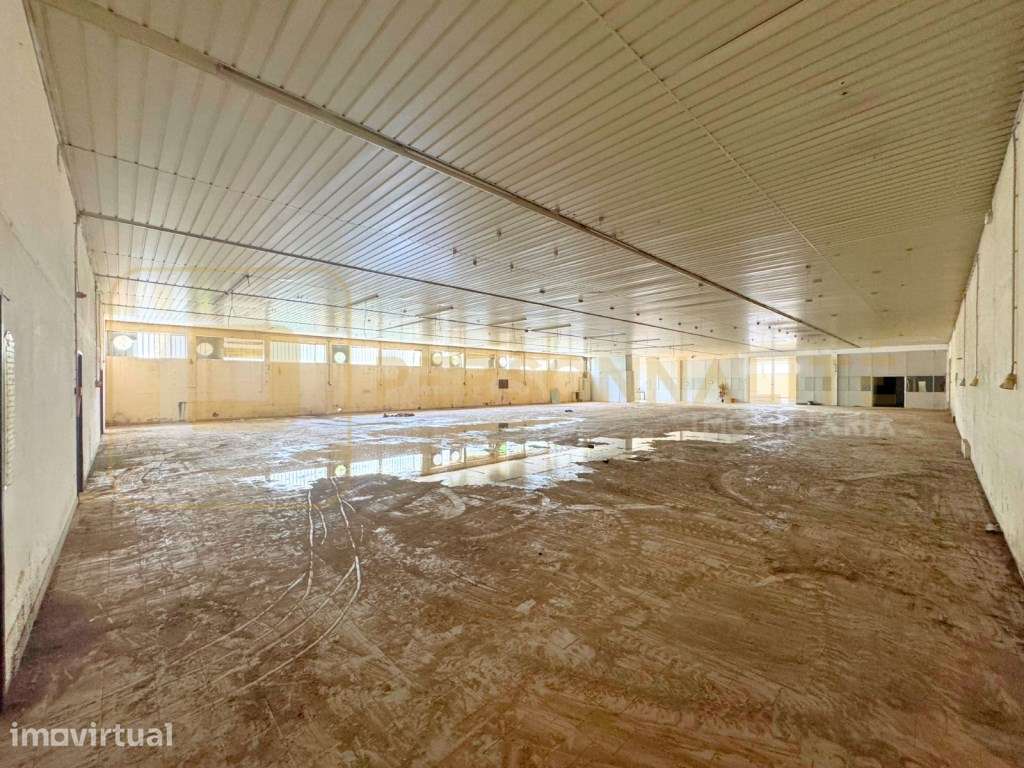 Armazém Industrial + 1000m2 área exterior - Grande imagem: 3/7