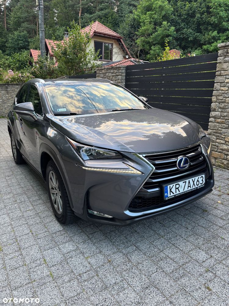 Lexus NX 300h Elegance 2WD - 4