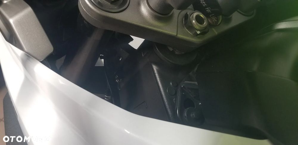 Suzuki V-STROM - 10
