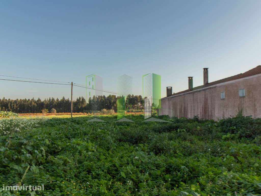 Lote de Terreno - Marvão, Cantanhede - Grande imagem: 4/13
