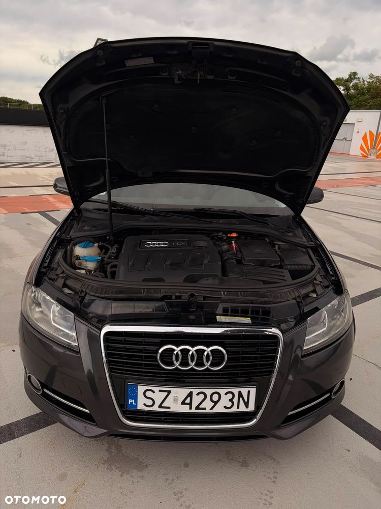 Audi A3 3-drzwiowe 1.6 TDI DPF Ambiente - 13