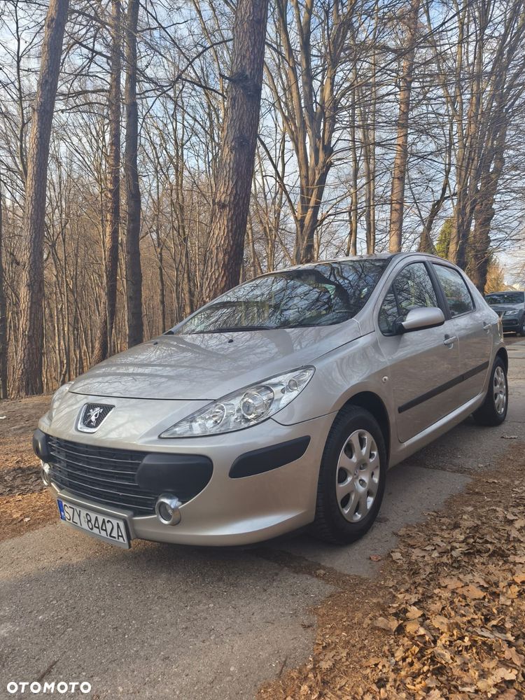 Peugeot 307 - 4