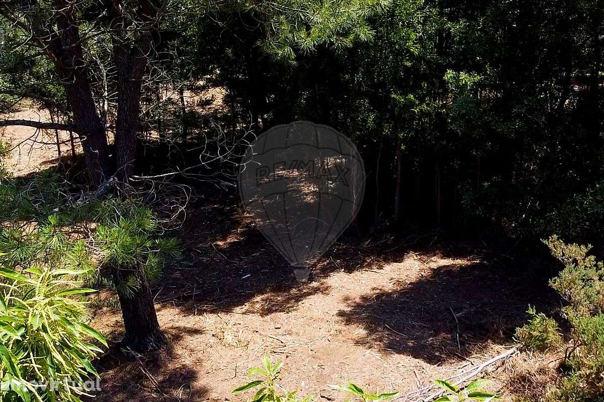 Terreno  para venda - Grande imagem: 5/14