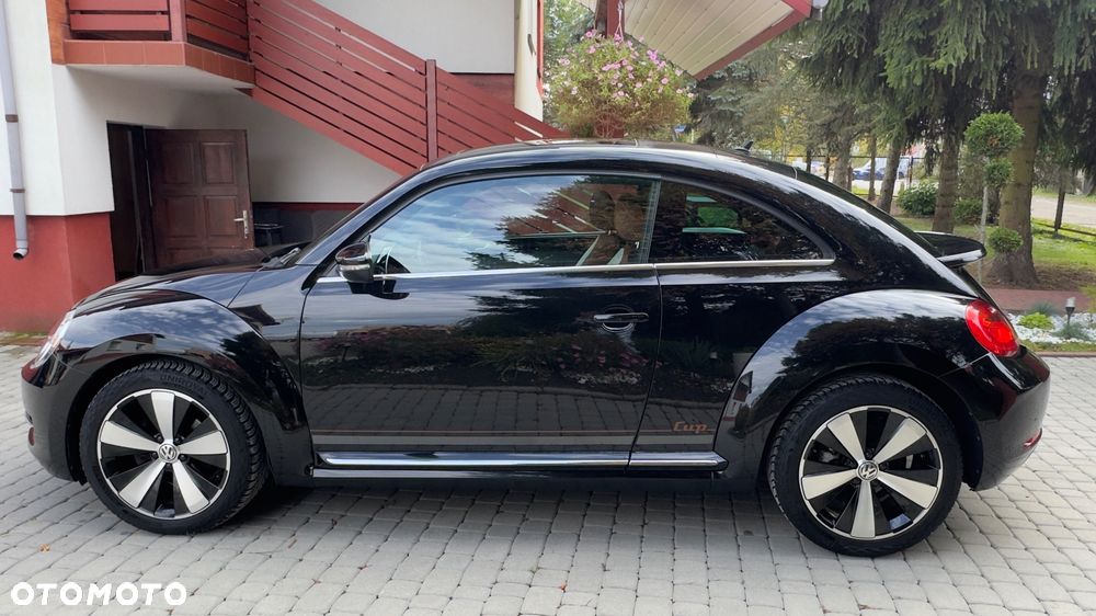 Volkswagen Beetle - 8