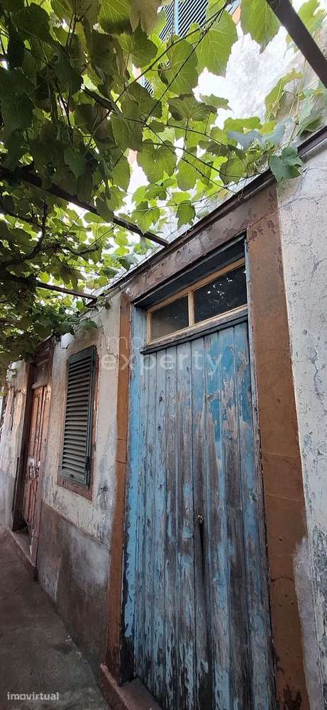 Moradia T3 em Gaula, Santa Cruz - Grande imagem: 5/10