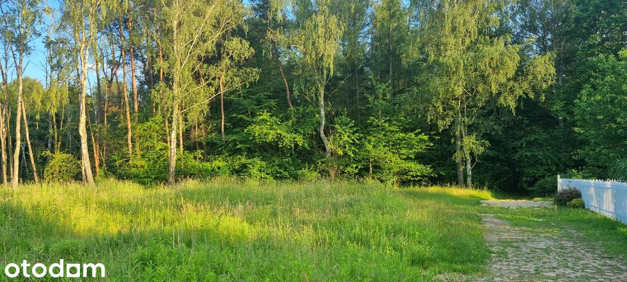 Działka  na sprzedaż 1150 m2.  Ruda Śląska Kłodnica ul: Panewnicka LAS