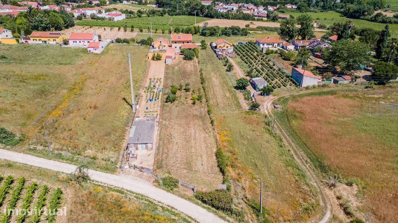 Moradia T4, em Alenquer/Ventosa, com terreno de 3.195m2 - Grande imagem: 3/54