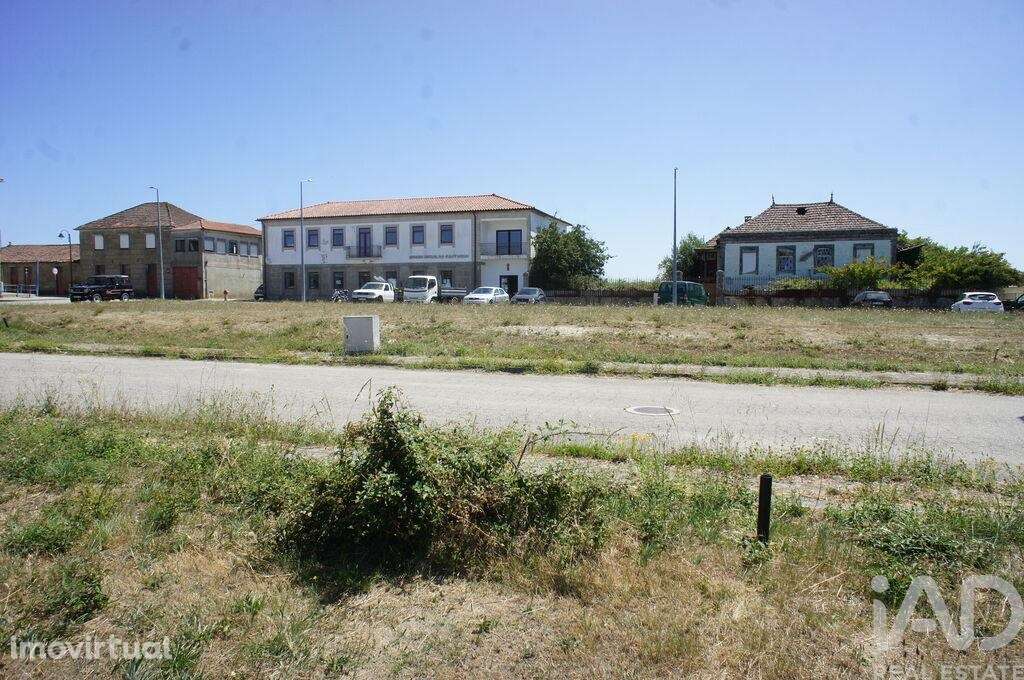 Terreno em Carrazedo de Montenegro e Curros de 301,00 m2 - Grande imagem: 4/7