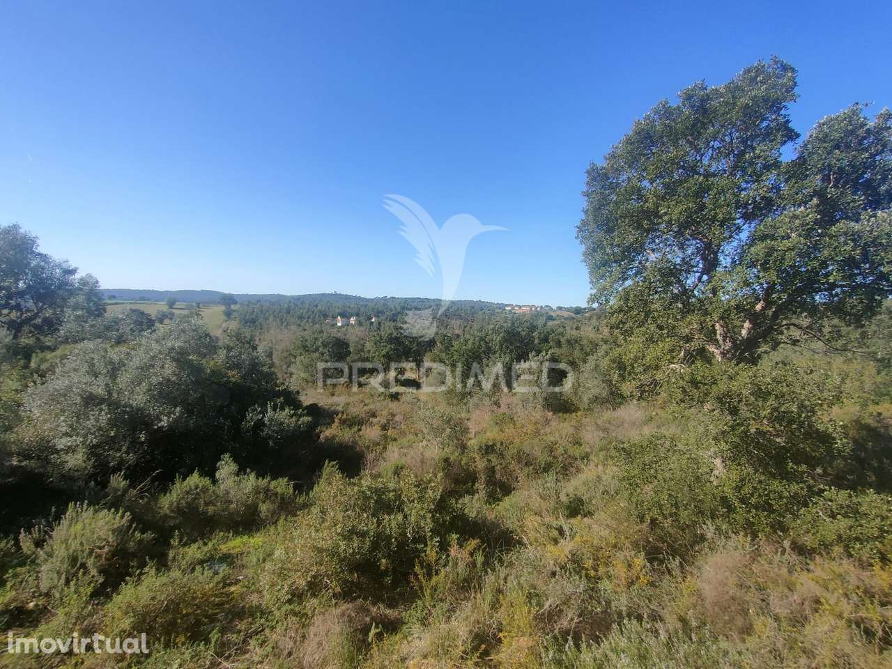 Terreno Rústico - Monsanto, Alcanena - Grande imagem: 4/9