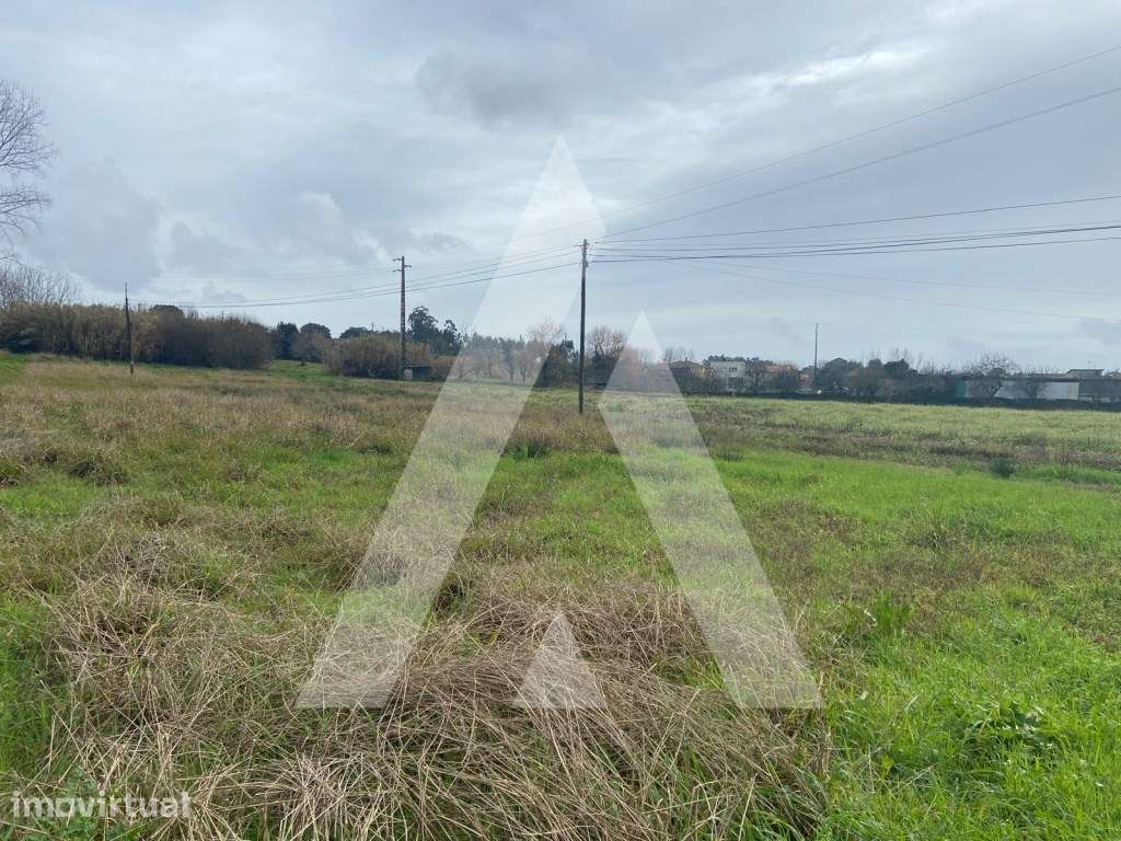 terreno na Amoreira da Gândara em Anadia - Grande imagem: 4/6