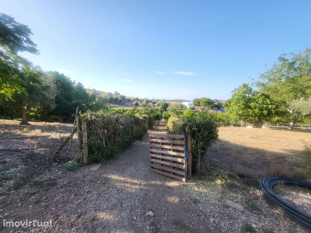 Quinta com 28.250 m2, no centro de Vila Viçosa - Grande imagem: 5/48