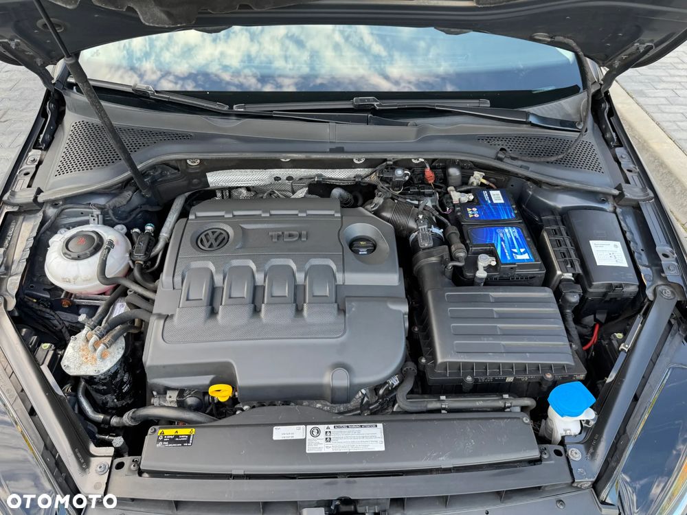 Volkswagen Golf - 29