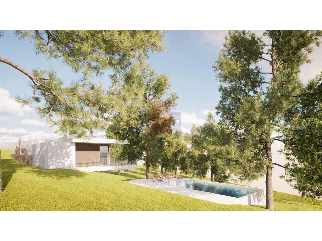 Propriedade com 40.360 m² no Bombarral com Projeto Aprovado para Mo... - Grande imagem: 4/8