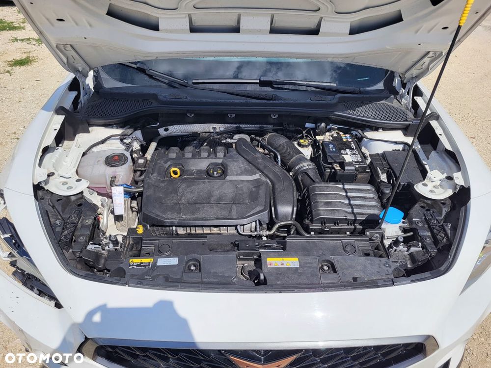 Cupra Formentor 1.5 TSI DSG Tribe Edition - 11
