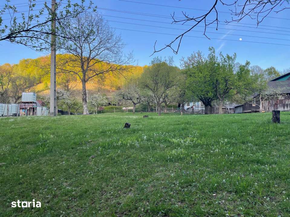 Teren constructie, 1590 mp, zona Firiza - Imagine principală: 4/5