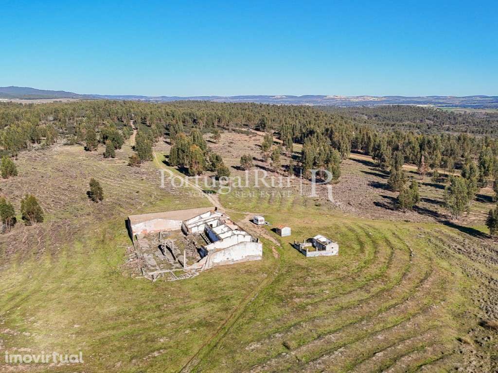 Herdade de 1000 ha com eucaliptal, ruínas e barragem - Grande imagem: 3/15