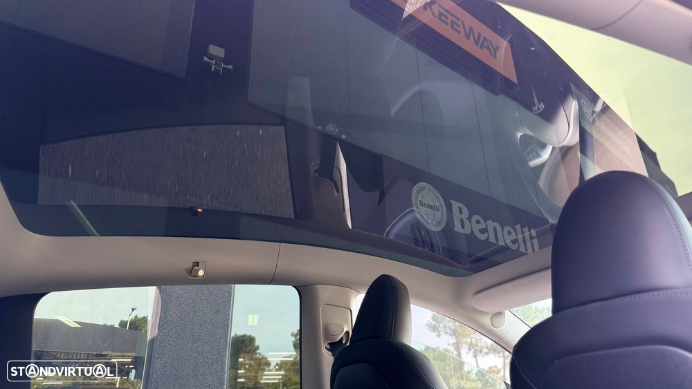 Tesla Model Y Performance Dual Motor AWD - 30