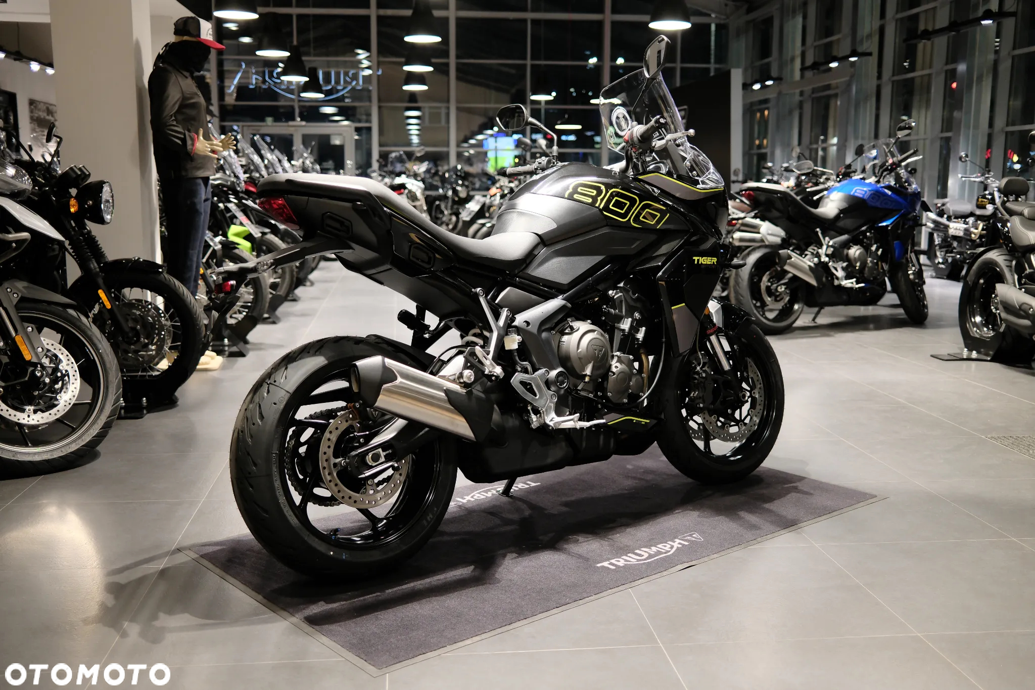Triumph Tiger - 2