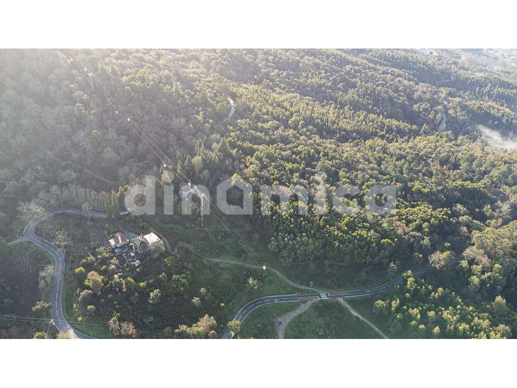 Magnifica Propriedade - Penha - Grande imagem: 3/17