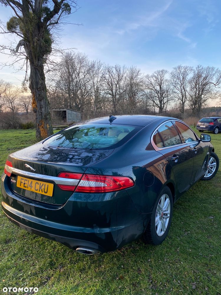 Jaguar XF 2.2 D Luxury - 3