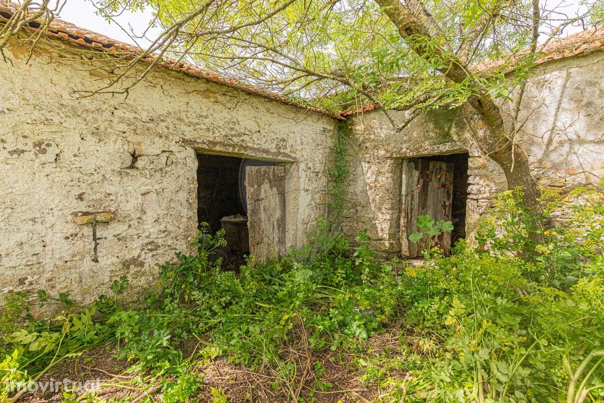 Armazém  para venda - Grande imagem: 2/17