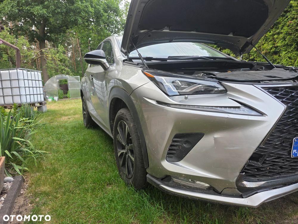 Lexus NX 300 Business Edition AWD - 20