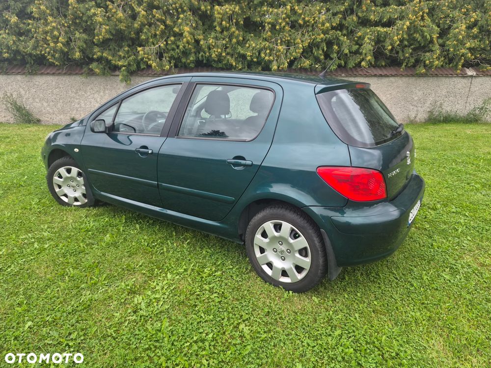 Peugeot 307 1.6 HDI Oxygene - 19