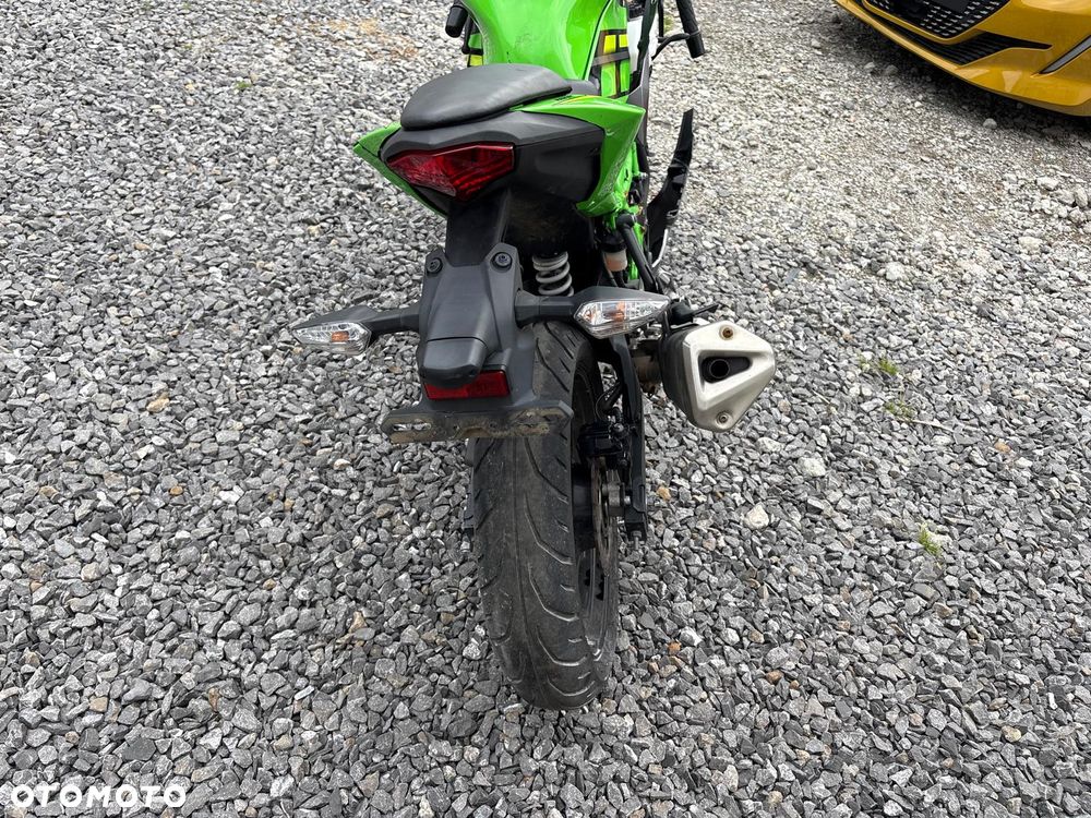 Kawasaki Ninja - 13