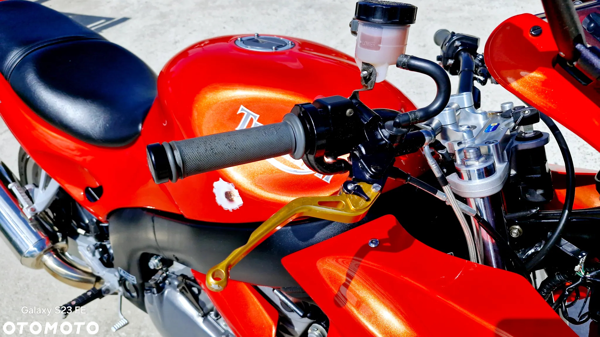 Triumph Sprint - 21