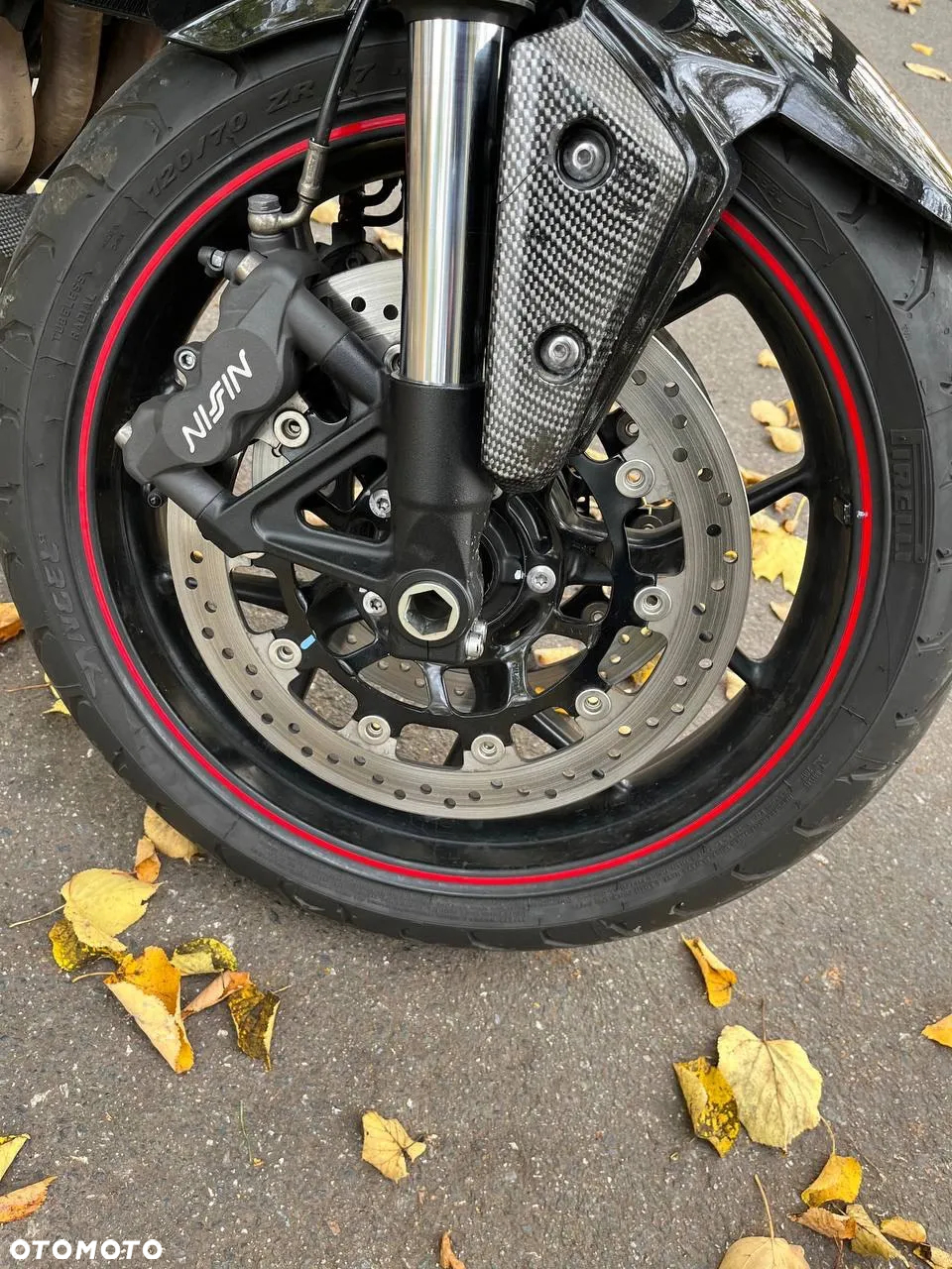 Triumph Tiger - 5