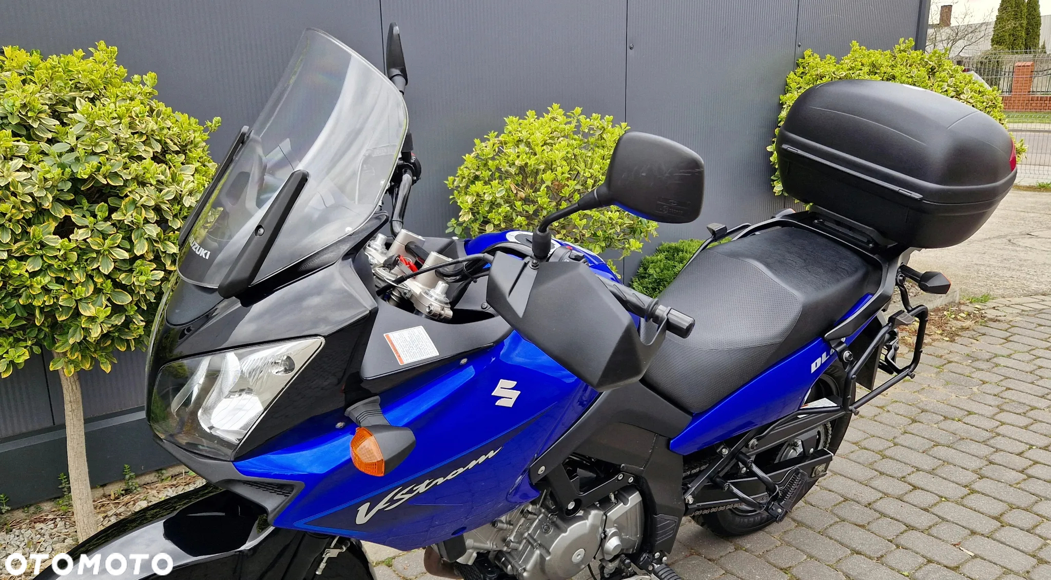 Suzuki DL - 31