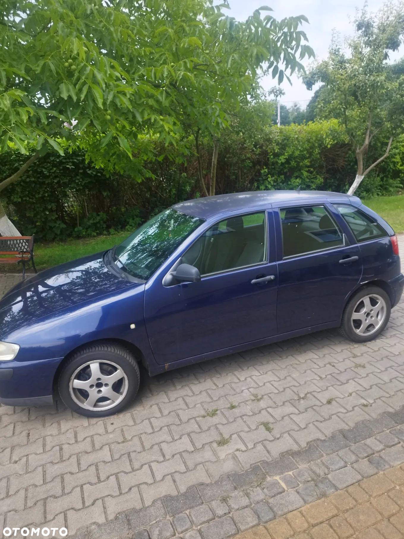 Seat Ibiza - 12