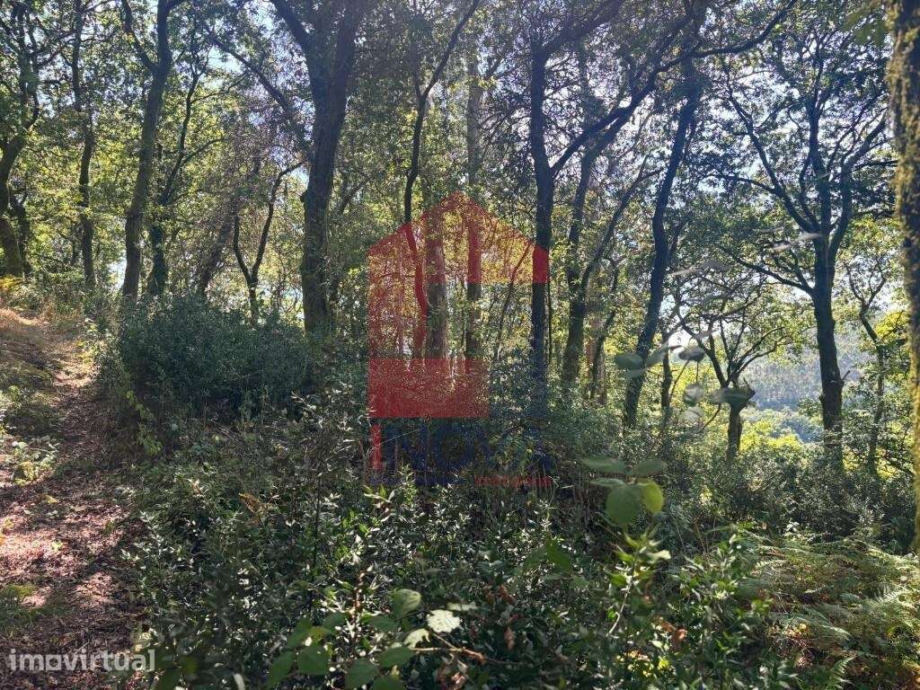 Terreno agrícola, Duas Igrejas - Grande imagem: 4/19