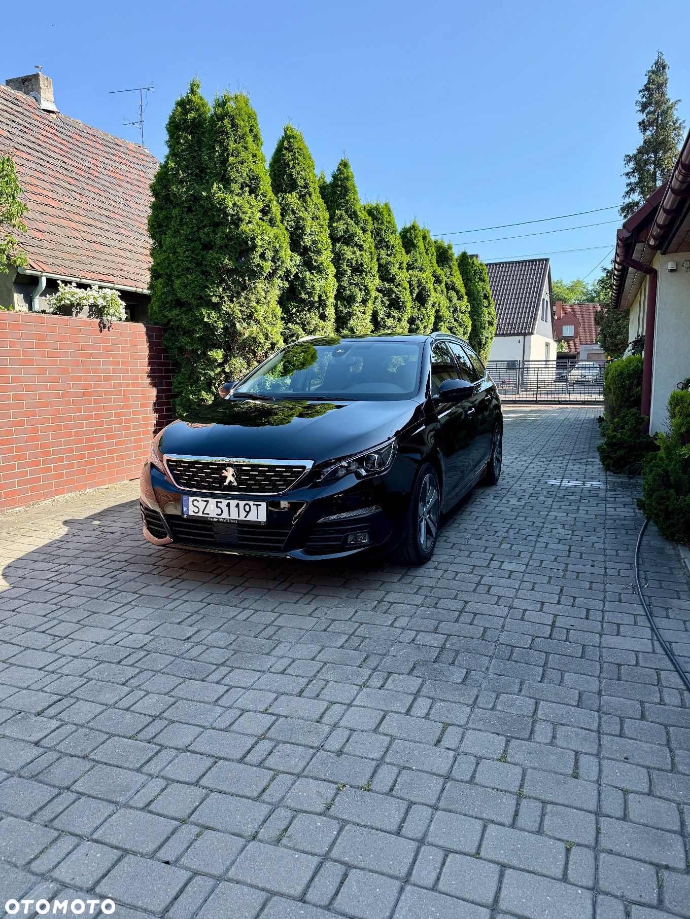 Peugeot 308 1.5 BlueHDi GT Pack S&S EAT8 - 1