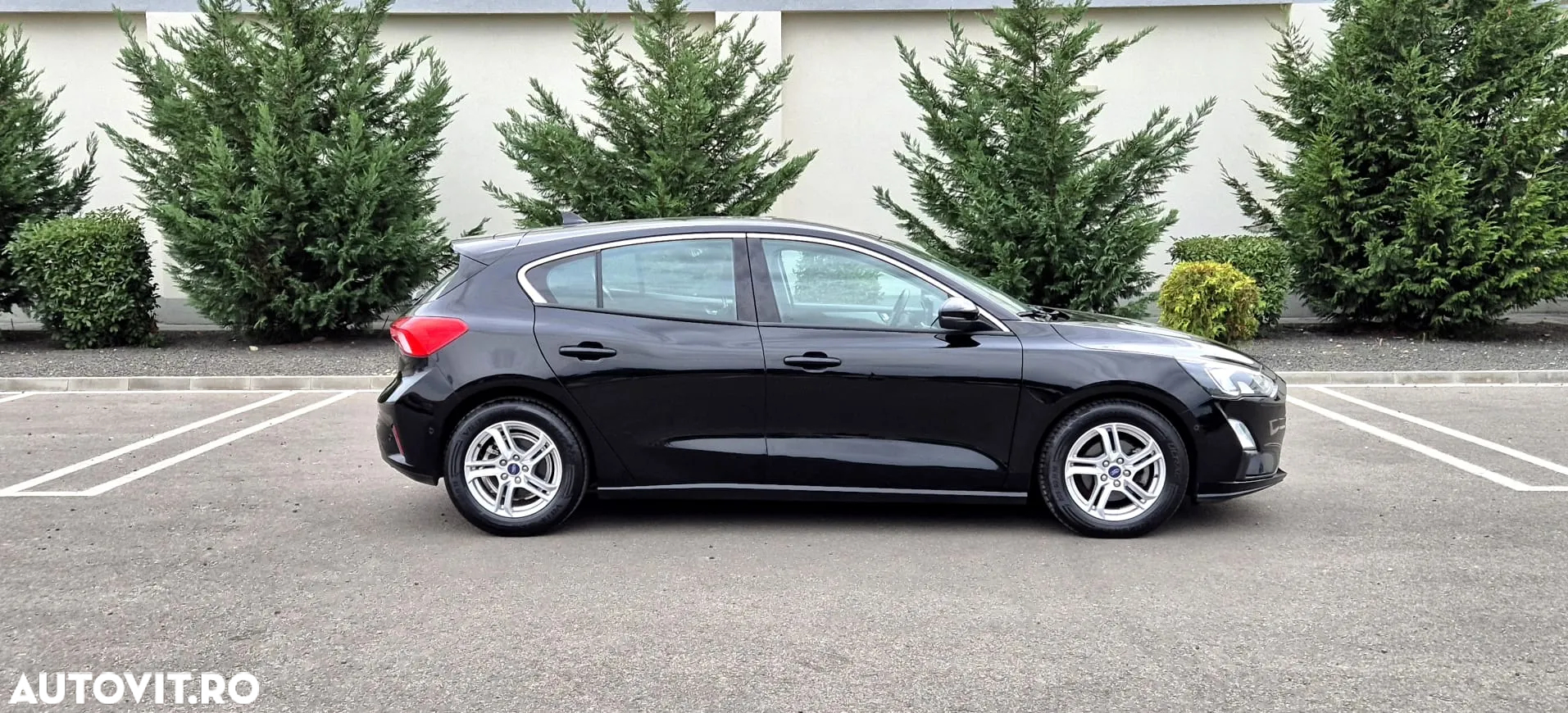 Ford Focus - 6