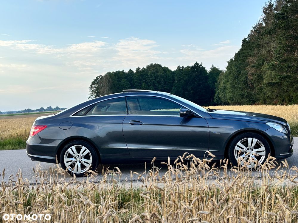 Mercedes-Benz Klasa E 350 CDI DPF BlueEFFICIENCY 7G-TRONIC Avantgarde - 14