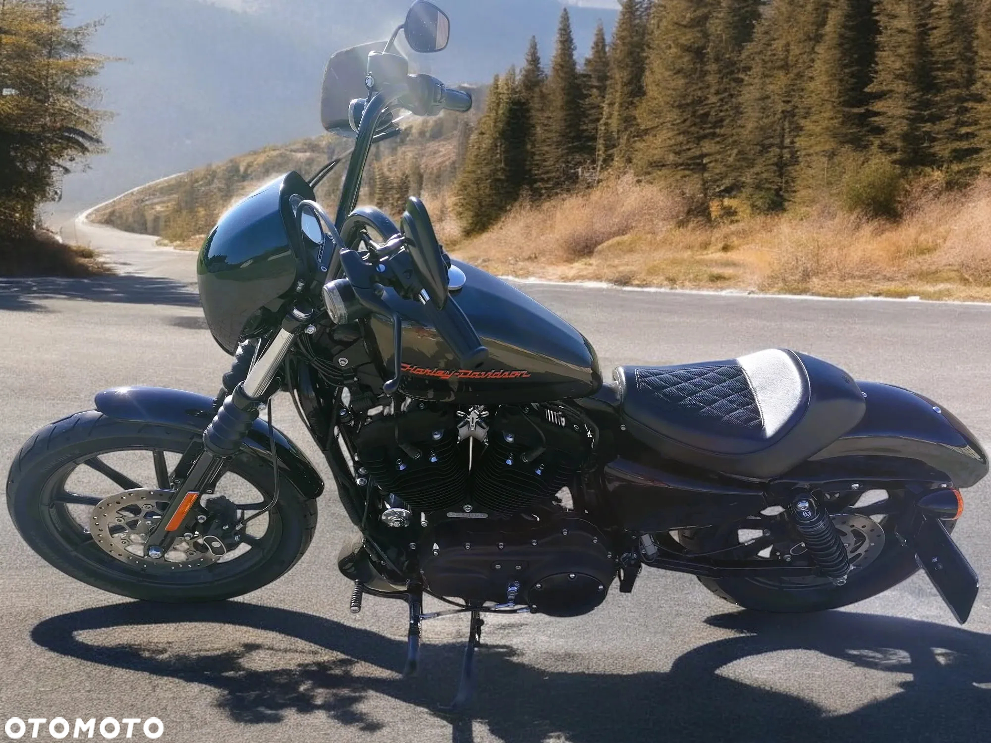 Harley-Davidson Sportster - 7