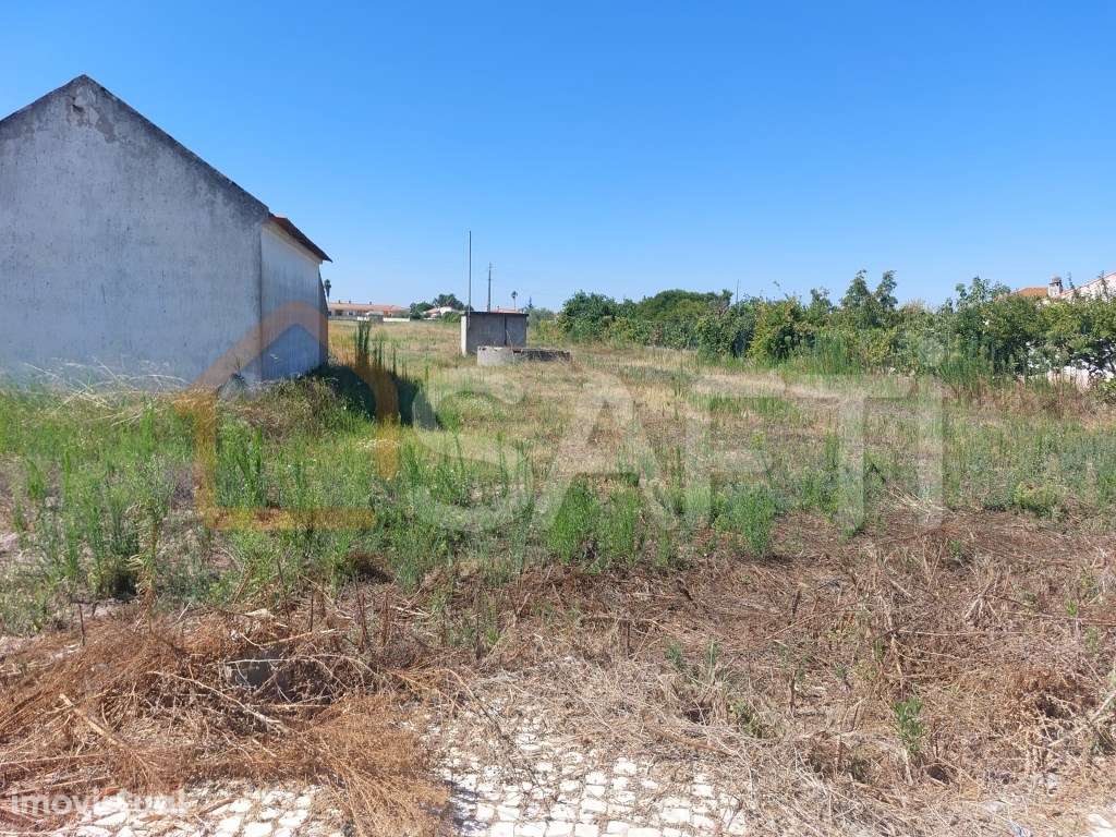 Lotes de Terreno em Marinhais, Salvaterra de Magos - Grande imagem: 2/10