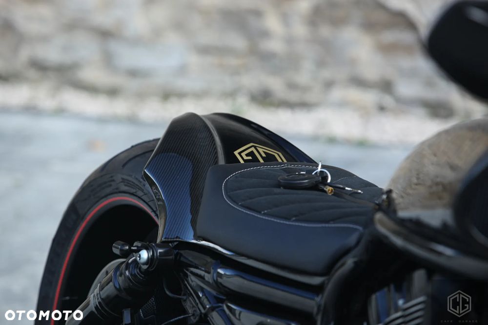 Harley-Davidson Softail V-Rod - 22