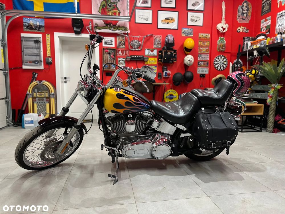 Harley-Davidson Softail Custom - 2