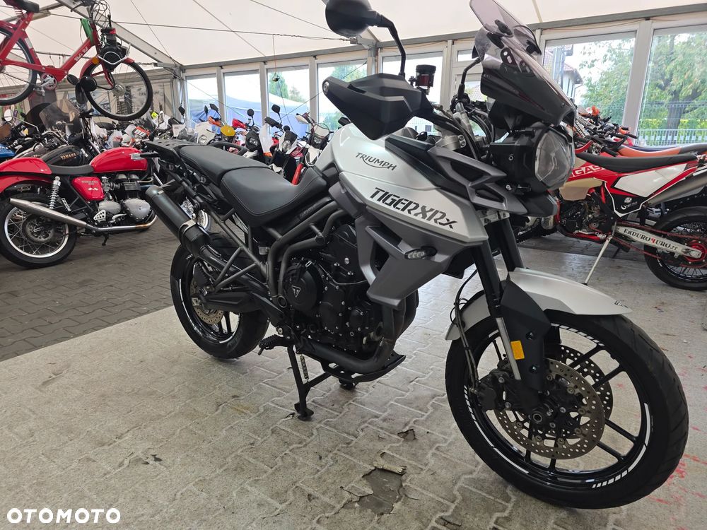 Triumph Tiger - 23