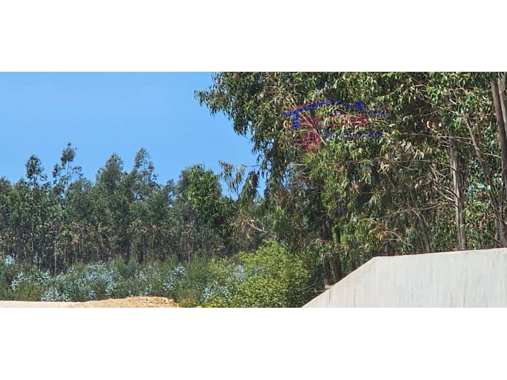 Terreno rústico junto a parque industrial de Figueiró dos Vinhos - Grande imagem: 5/6