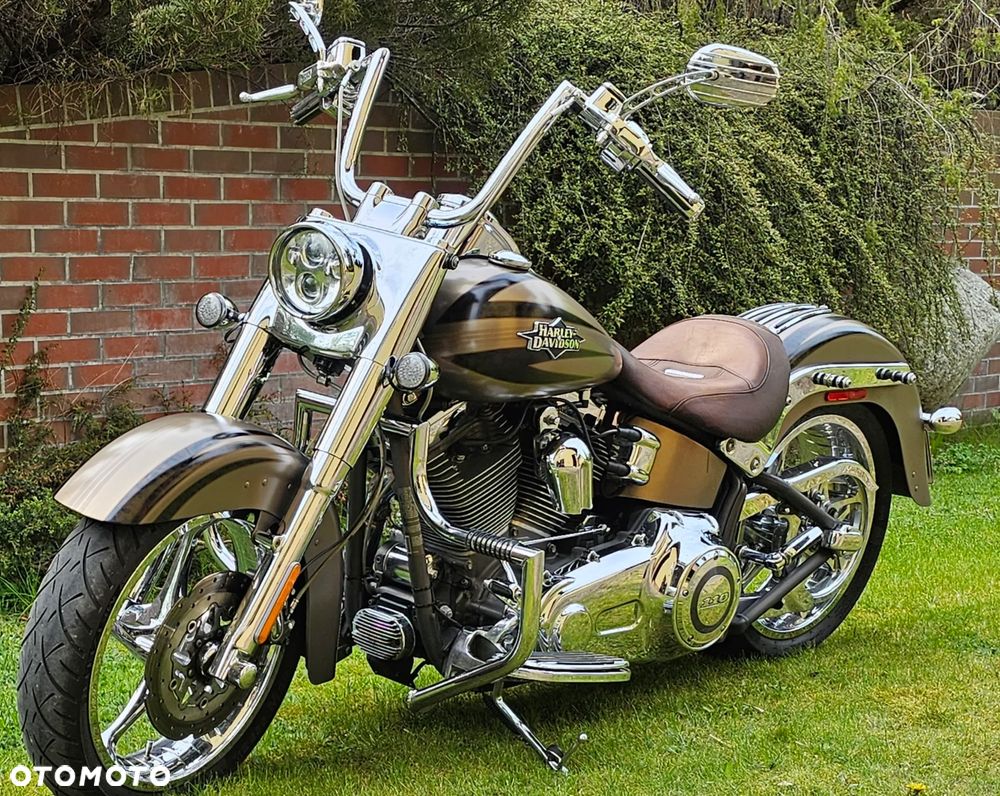 Harley-Davidson Softail - 1
