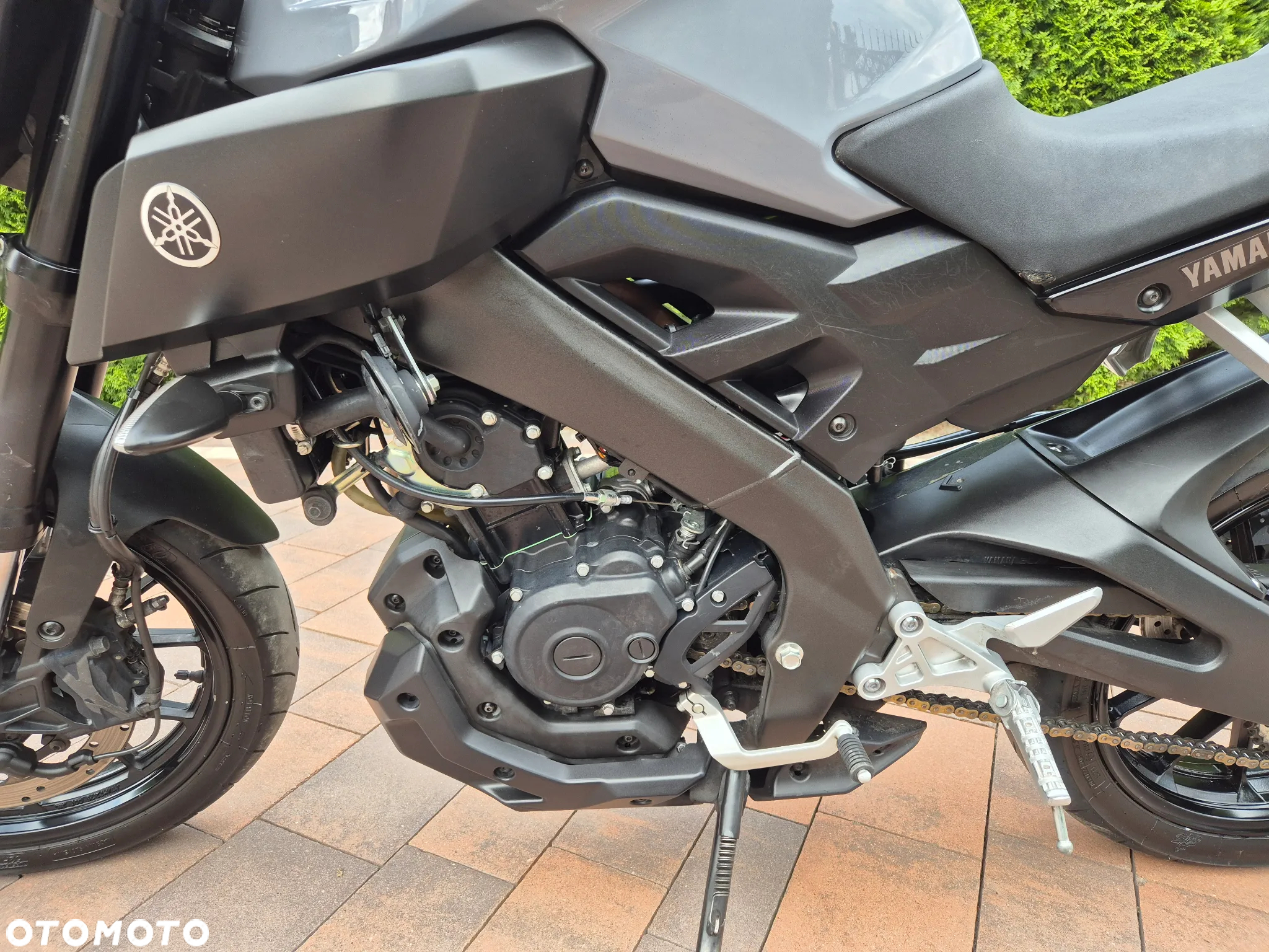 Yamaha MT - 12