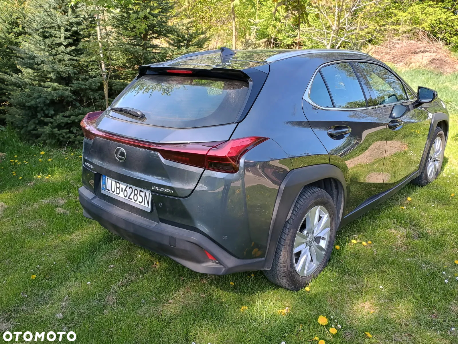 Lexus UX 250h GPF Business 2WD - 6