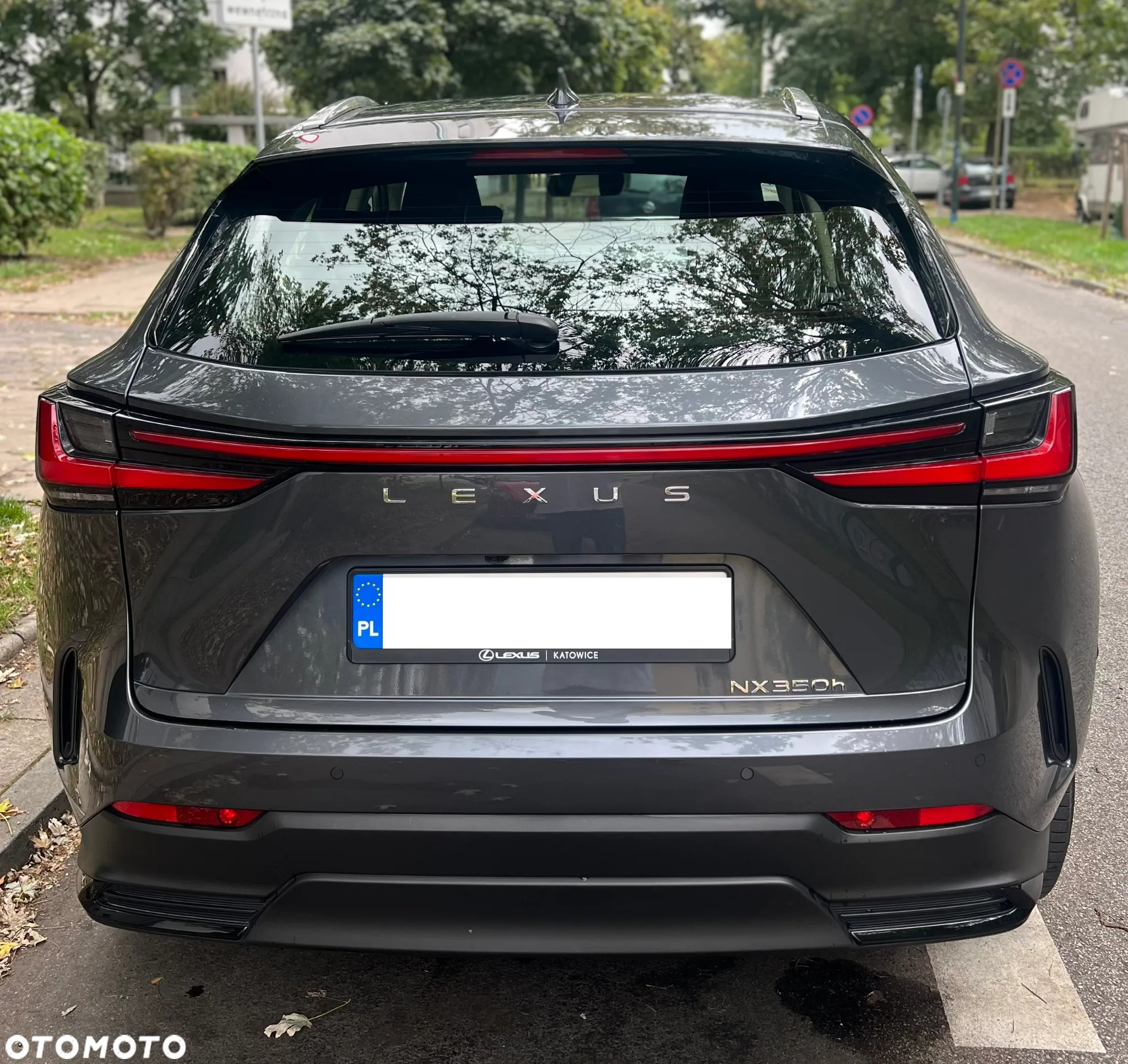 Lexus NX 350h Business AWD - 2