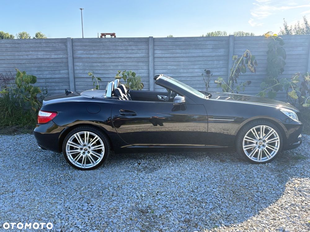 Mercedes-Benz SLK - 25