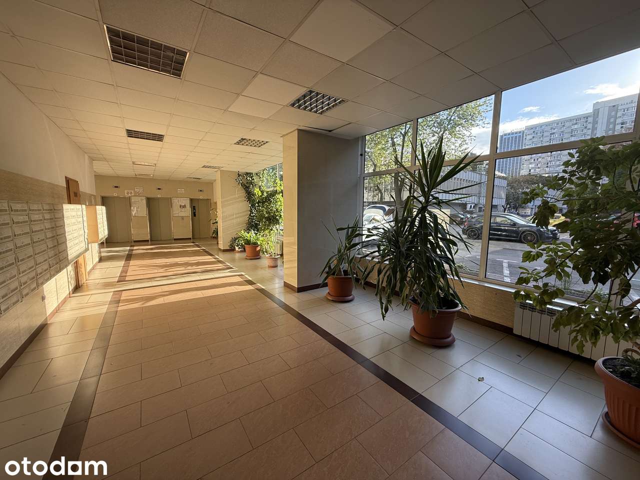 Do wynajęcia mieszkanie 39 m² – Warszawa, ul. Grzybowska 30